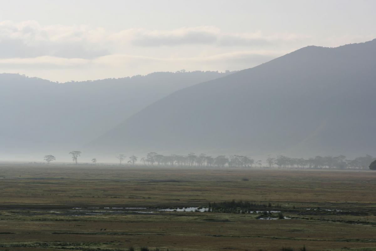 Serengeti -12-6-10-2008-683-w   